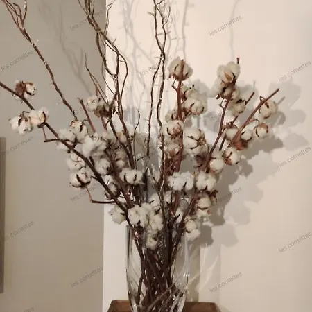 Meuble Classe 3 Etoiles De 72 M2, 2 아파트